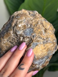 Image 2 of MOROCCAN BLUE AGATE B