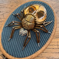 Image 3 of Specimen spider (c, 4x5  inches)