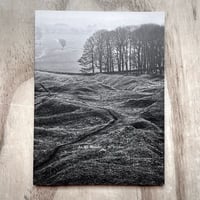 Image 1 of Al Brydon - As We Wander (Signed)