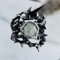 Image 2 of Ring of Thorns