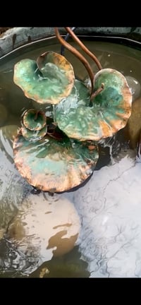 Image 5 of 🌿Lovely Leaves 🌿