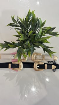 Liandra belts 