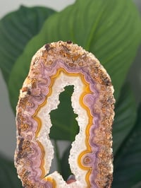 Image 2 of PURPLE AND YELLOW SWIRLY LAGUNA AGATE SLICE C