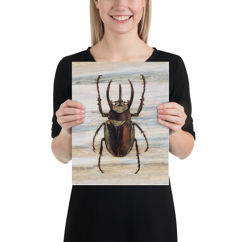 Photo Print: Atlas Beetle Closed