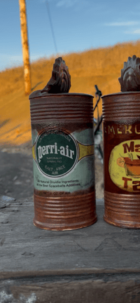 Image 1 of Perri-air rusty can mug 