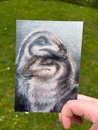 Image 3 of “Sinosauropteryx Cuddle” - 6,4” Matte Photocard