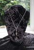 Dead Good Pheasant toe necklace with lolite crystal stone copy Image 12