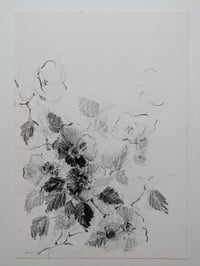 Wild roses II