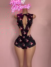 Image 1 of Kitty- black