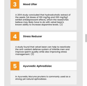 Image of Mucuna Powder Bag