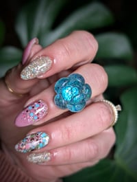 Image 8 of Mini Succulent Collection 