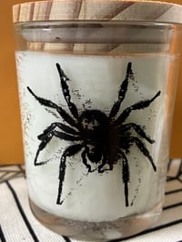 Image 5 of Fall / Halloween 2025 Candles