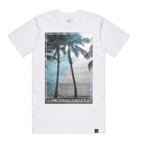 Image 1 of PALM TREES