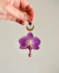 Image 1 of 🌸Moon & Sun Violet Orchids🌸