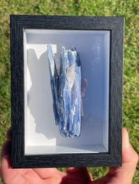 Image 7 of Blue Kyanite & Quartz Specimen #1897