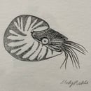 Image 2 of £50 originals - Nautilus, pointillism