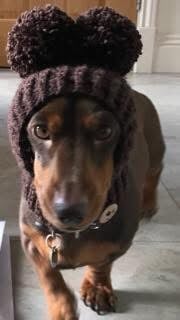 Image 1 of Snazzy Bobble Snood