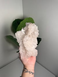 Image 1 of XL WHITE HALITE -MOROCCO- A