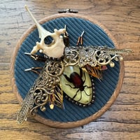 Image 1 of Specimen beetle (a, 4  inches)