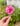 🌹Rose HairPin🌹