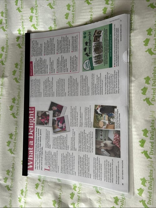 Image of Dried Delights Rabbit Healthcare Guide (written and created by Lorna- Dried delights owner)