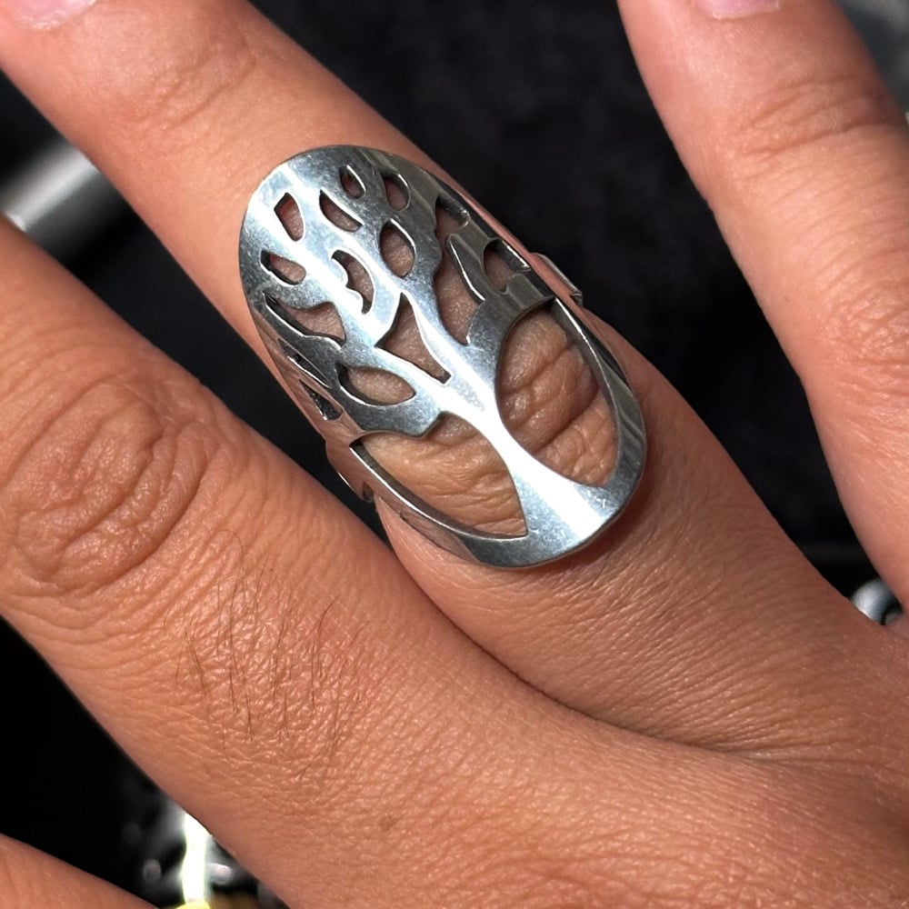 Image of carved tree ring