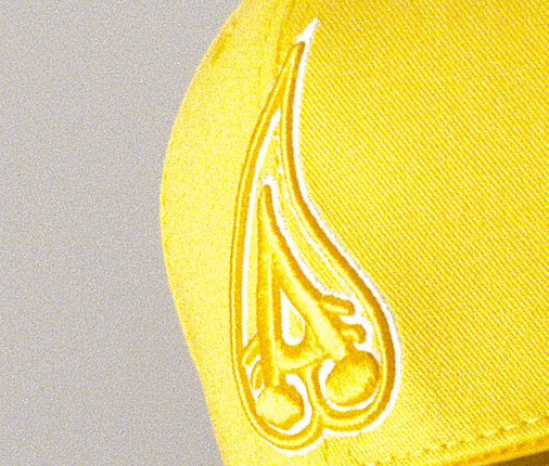 canari  - Image 2