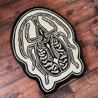 Image 4 of Violin Beetle 