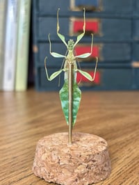 Image 3 of leaf insect jar