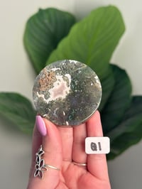Image 17 of CHOOSE YOUR OWN MOSS AGATE DISK -INDIA- LOT 1