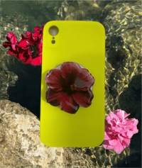 Red Hibiscus  Phone Grip