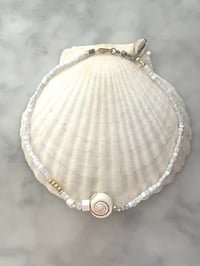 Image 1 of the mermaids purse 