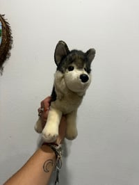 Image 9 of Douglas Dog set