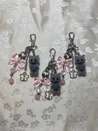 Image 5 of Koshi Kittens Clip