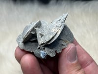 Image 11 of Peru Desert Rose UV Specimen #2416