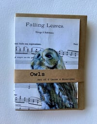 Image 2 of Owls on music