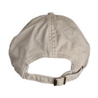 Image 4 of Bugz crawlin patch hat 