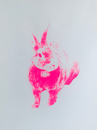 Cinnamon (Pink) A3 Screen Print