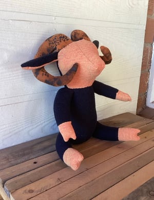 Image of Black Sheep