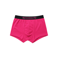 Image 1 of PROCESSO BOXER