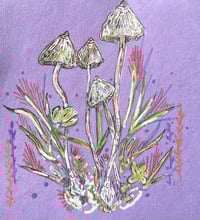 Mushroom Postcard 