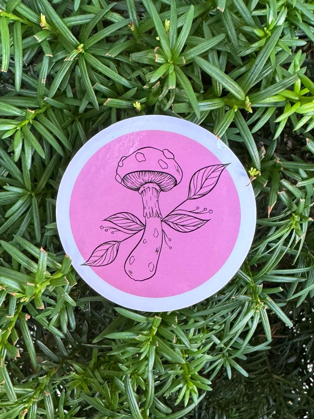 Image of Mushroom Stickers
