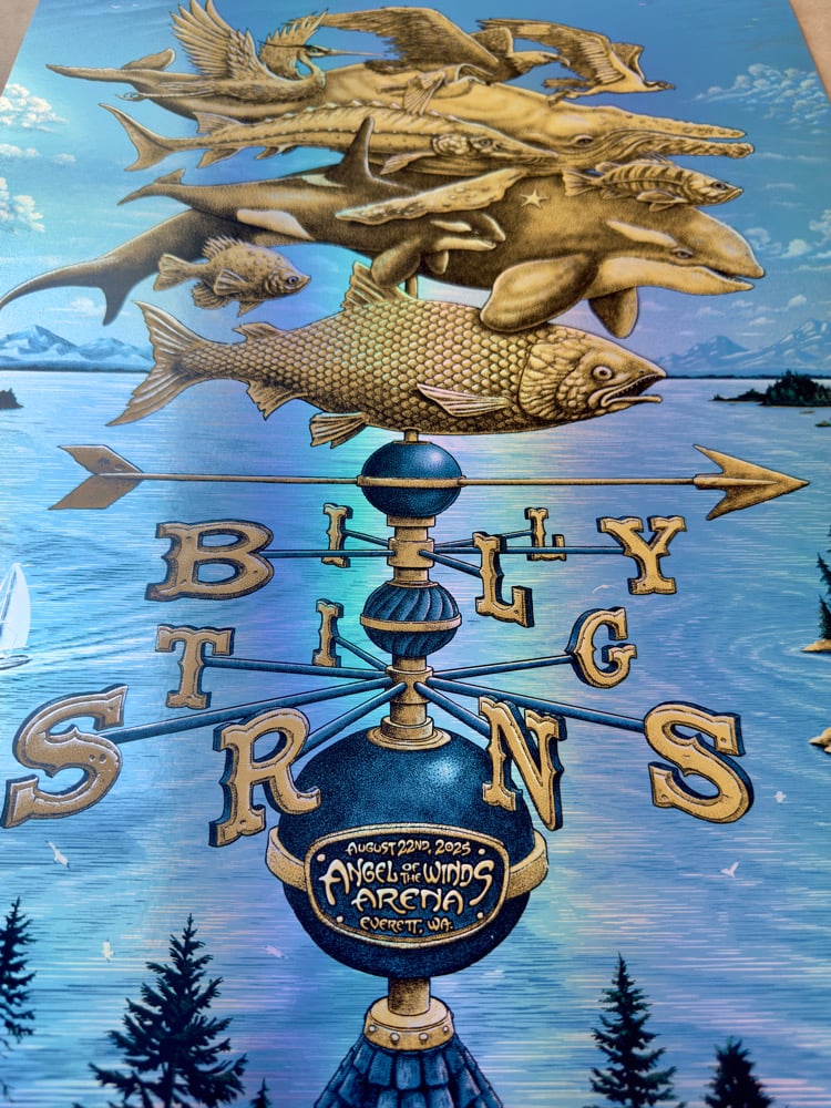 B1LLY 5TR1NG5 F01L  Image 2