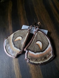 Image 2 of Cecropia Moth Wing Earrings #2