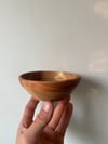 Palm Birch Bowl