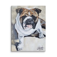 Image 2 of English Bulldog