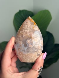 Image 4 of HQ FLOWER AGATE FLAME -MADAGASCAR- B