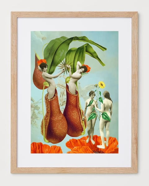 Image of Renacimiento. Lámina