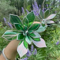 Image 1 of Wire Base Succulents