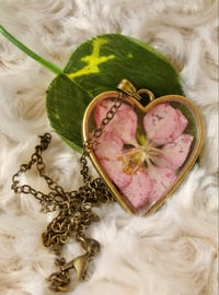 Image 1 of Pink Heart